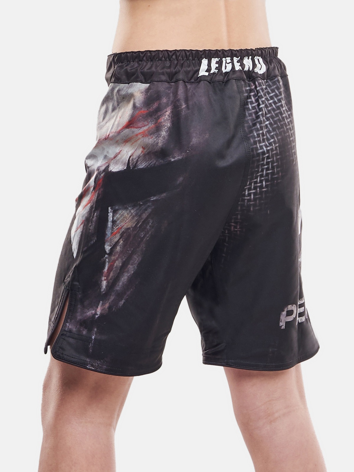 Peresvit Last Stand Kids Fight Shorts, Photo № 3